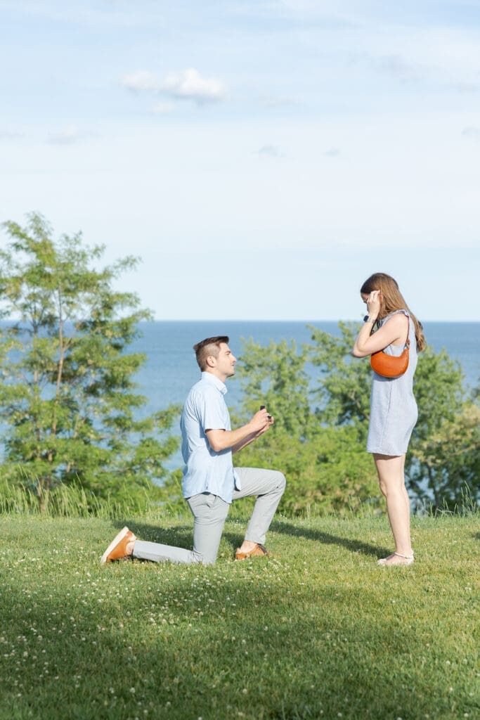 Lake Park Proposal in Milwaukee Wisconsin with Lake Michigan views