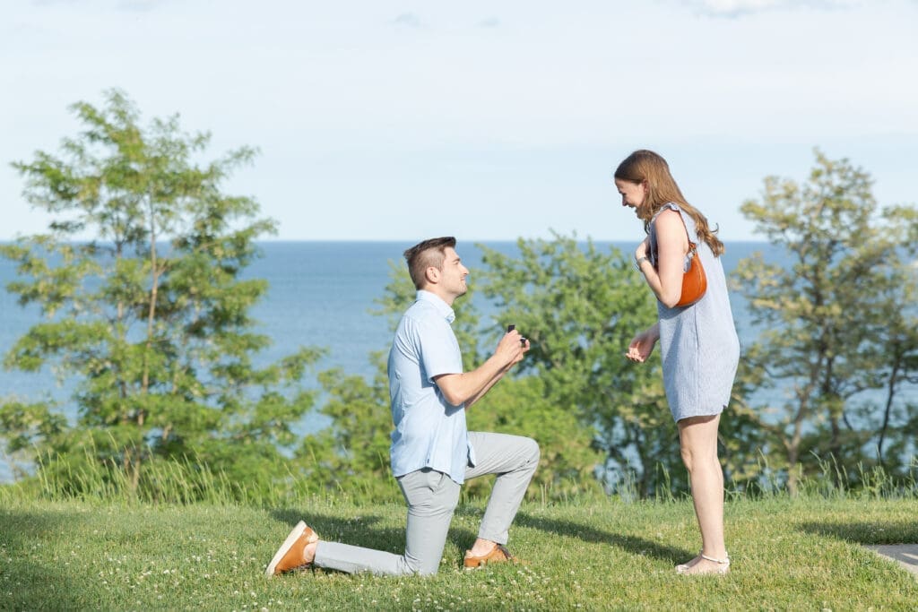 Lake Park Proposal in Milwaukee Wisconsin with Lake Michigan views